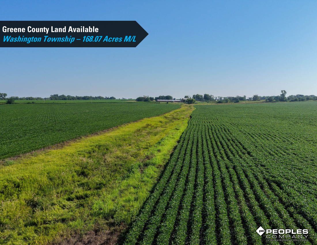 Listing Photo: Greene-County-Land-Available-168-Acres-19616 (5)
